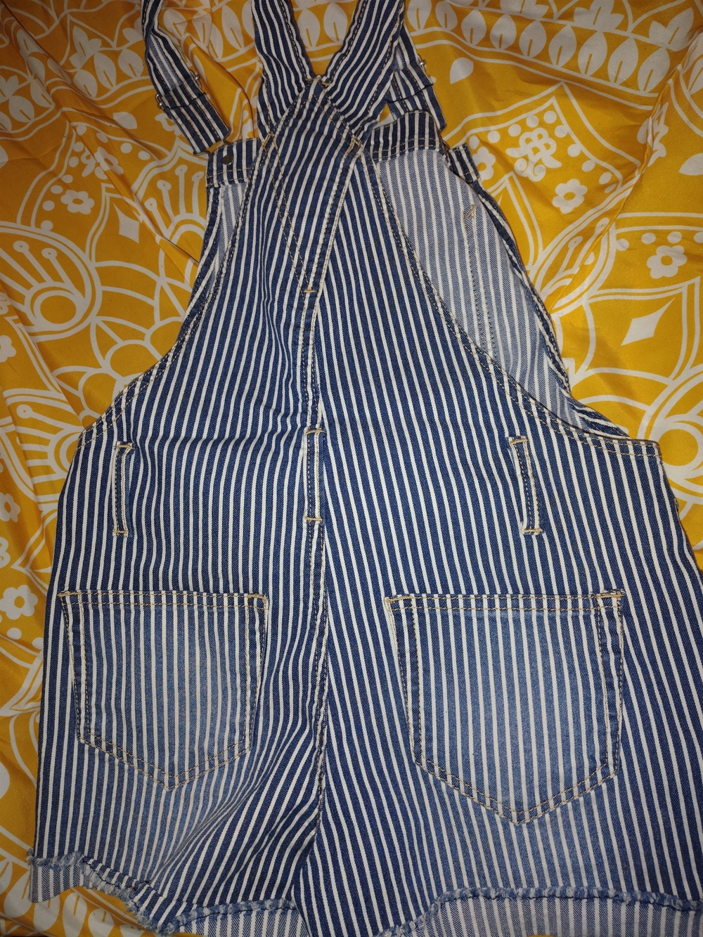Blue and White Striped Women's Denim Short Overalls